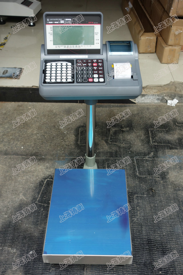 計重電子臺秤