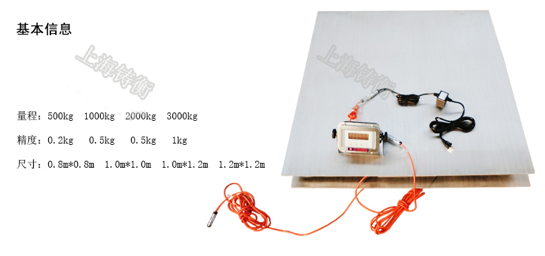 接電腦標準地秤