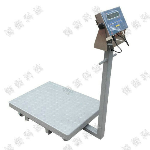 本安防爆式電子臺秤