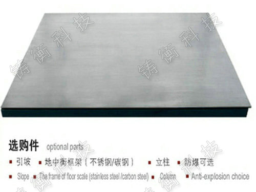 ������ӵس�